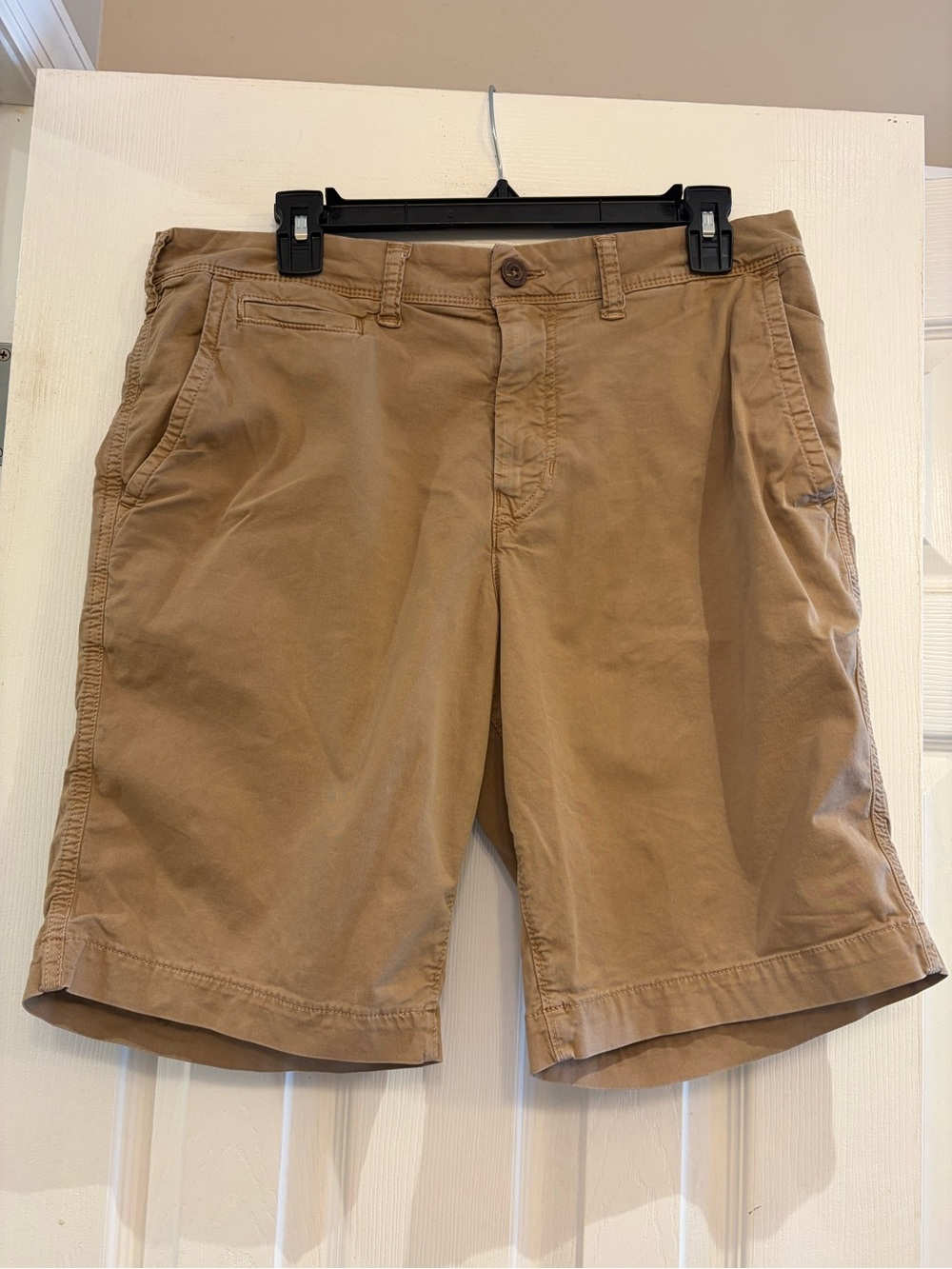 American Eagle Outfitters Men's Tan Flat-Front Shorts